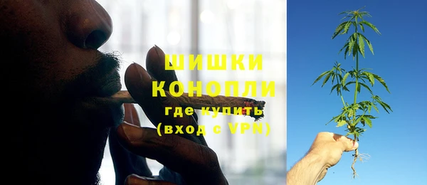 молекула духа Лиски